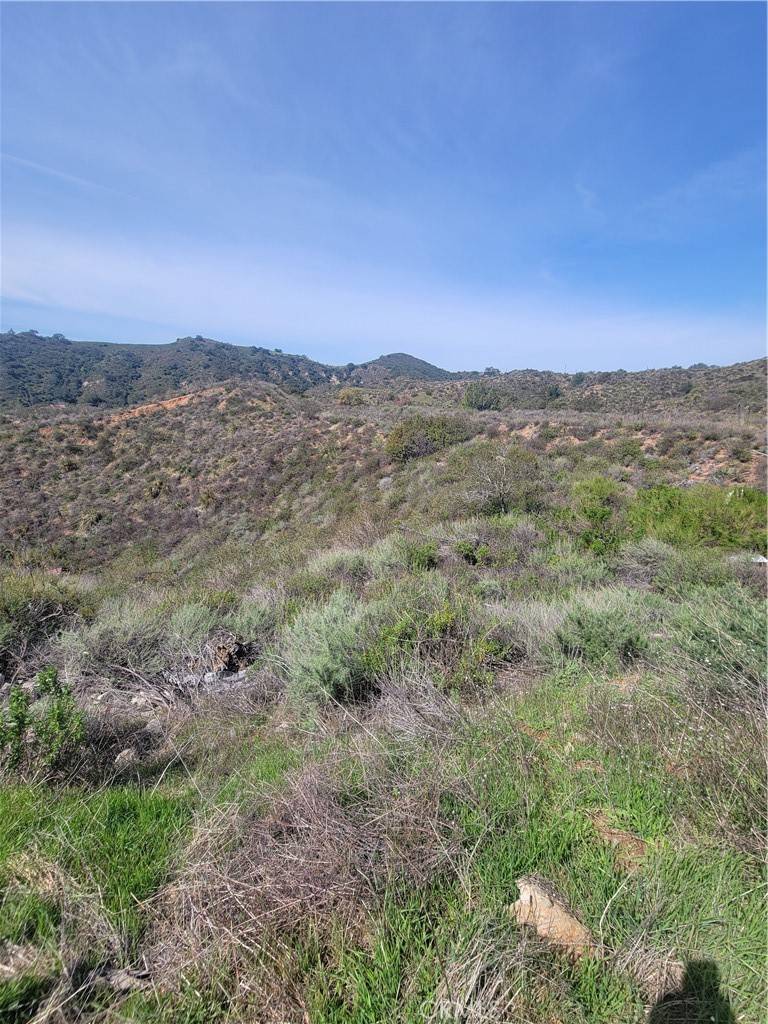 Trabuco Canyon, CA 92679,0 Hunky Dory