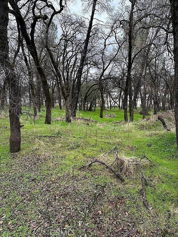 3885 Rosey WAY, Placerville, CA 95667