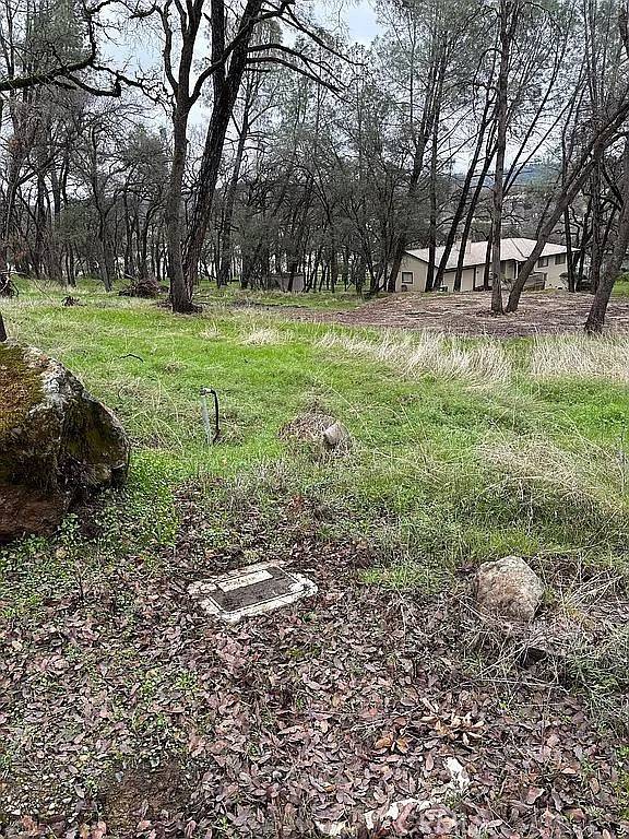 Placerville, CA 95667,3885 Rosey WAY