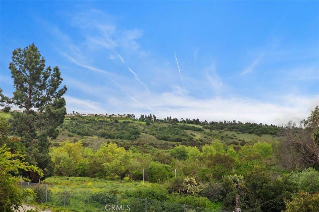 Trabuco Canyon, CA 92679,4 Chisholm TRL