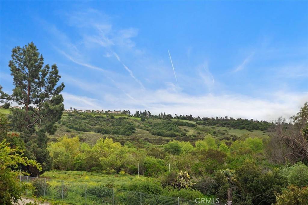 Trabuco Canyon, CA 92679,4 Chisholm TRL