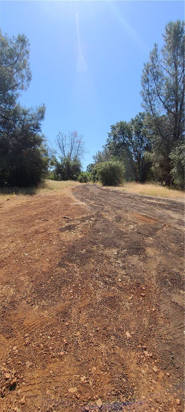 Manton, CA 96059,21665 Manton School RD