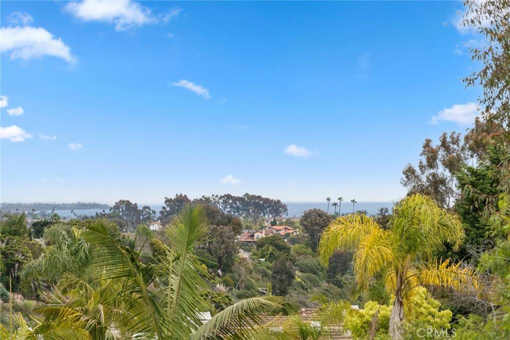 33046 Ocean Ridge, Dana Point, CA 92629