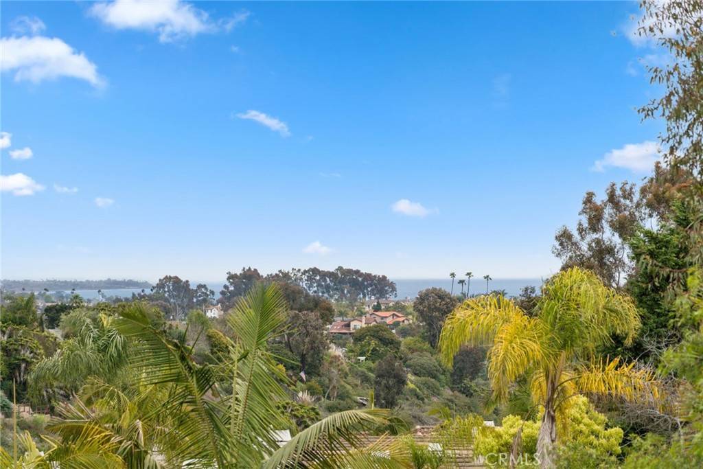 33046 Ocean Ridge, Dana Point, CA 92629