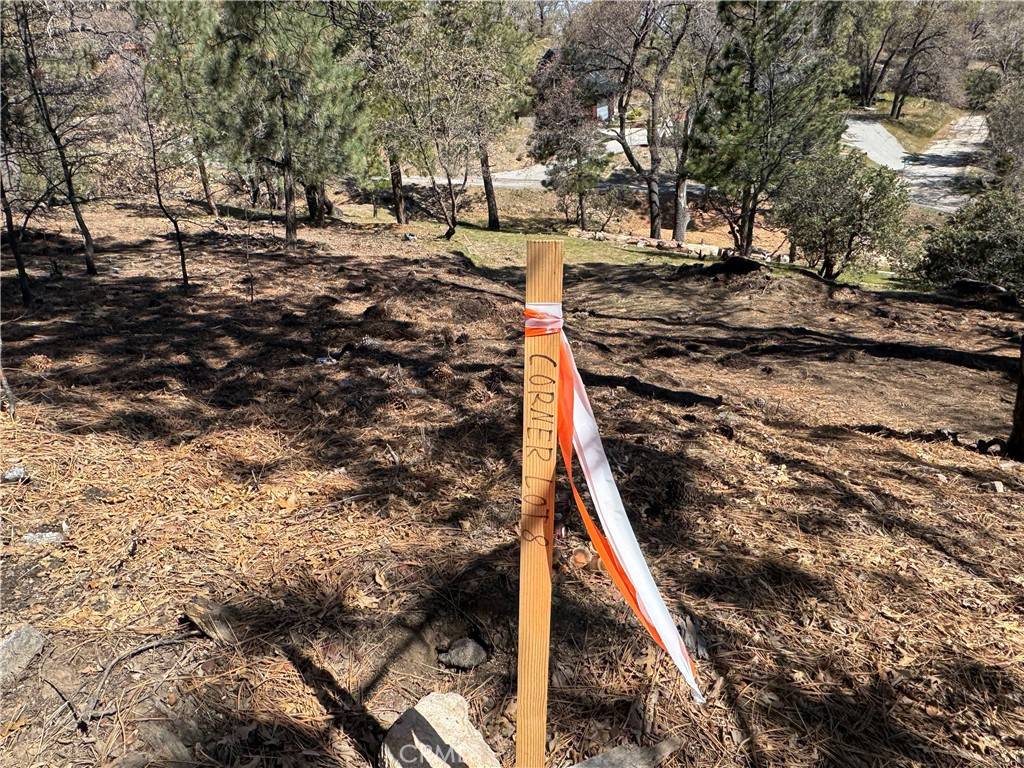 Lake Arrowhead, CA 92352,1684 L Way