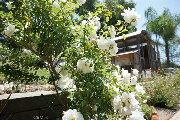 San Juan Capistrano, CA 92675,29941 Imperial DR