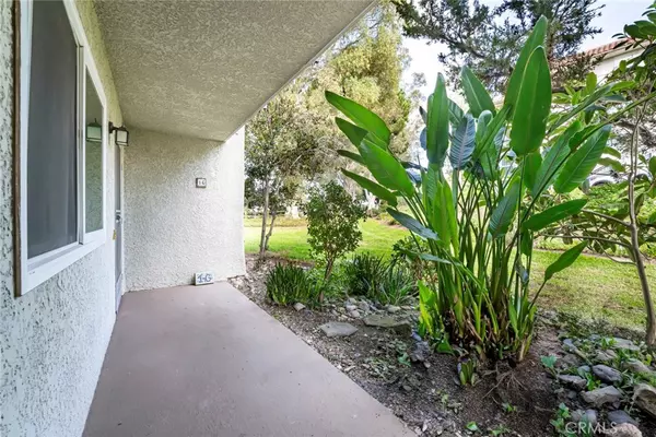 Laguna Woods, CA 92637,5369 Algarrobo #1G