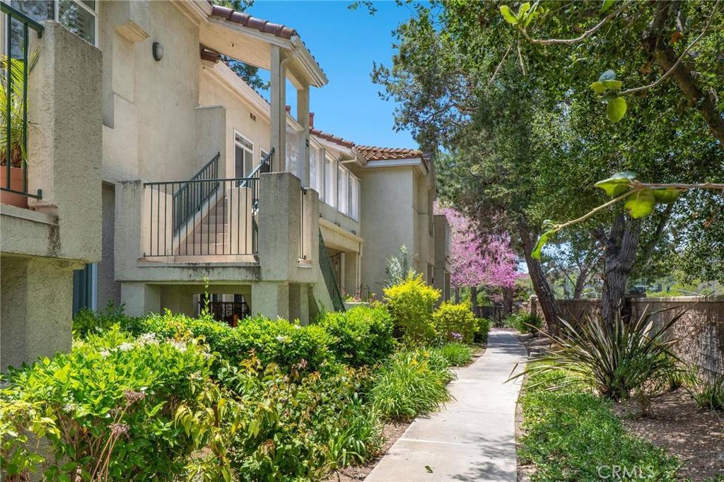 Aliso Viejo, CA 92656,209 Cinnamon Teal