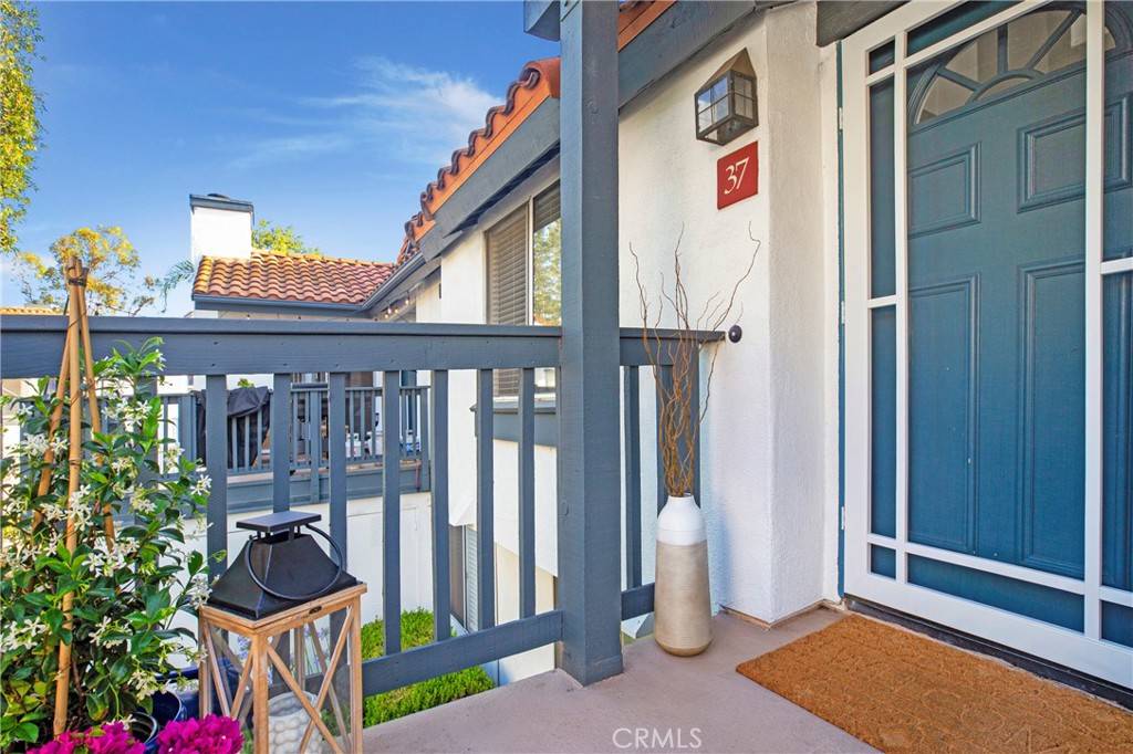 Rancho Santa Margarita, CA 92688,37 Lobelia