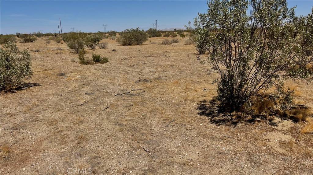Adelanto, CA 92301,0 Sheep Creek RD