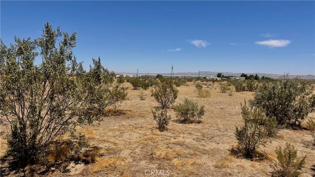 Adelanto, CA 92301,0 Sheep Creek RD