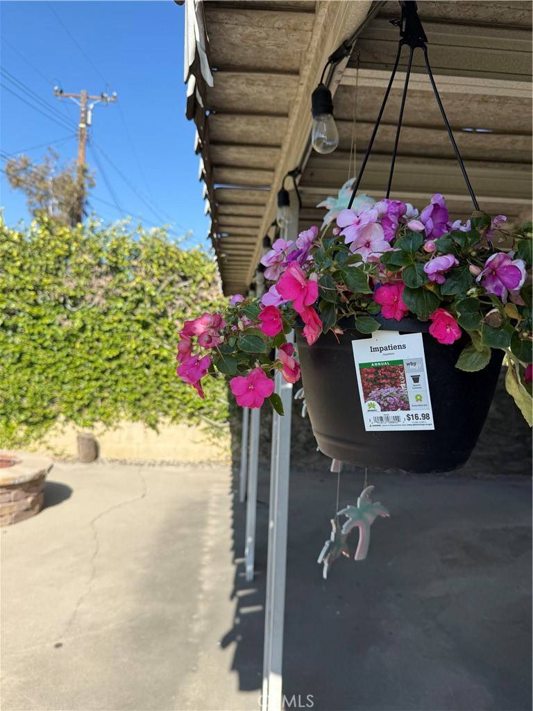 Yorba Linda, CA 92886,4561 Mimosa DR