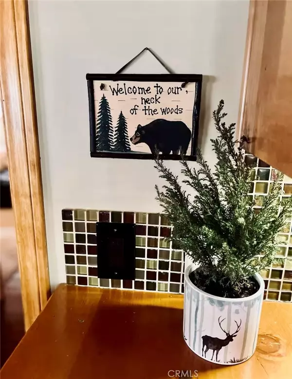 Big Bear Lake, CA 92315,653 Temple LN