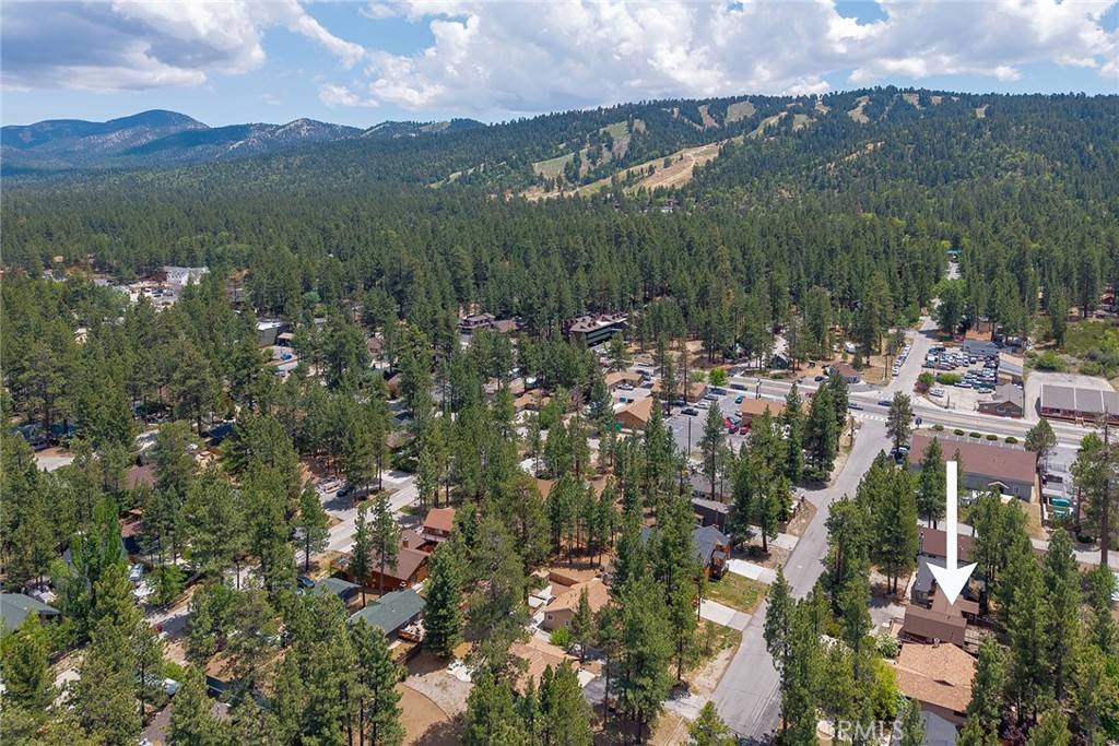 Big Bear Lake, CA 92315,438 Wren Drive