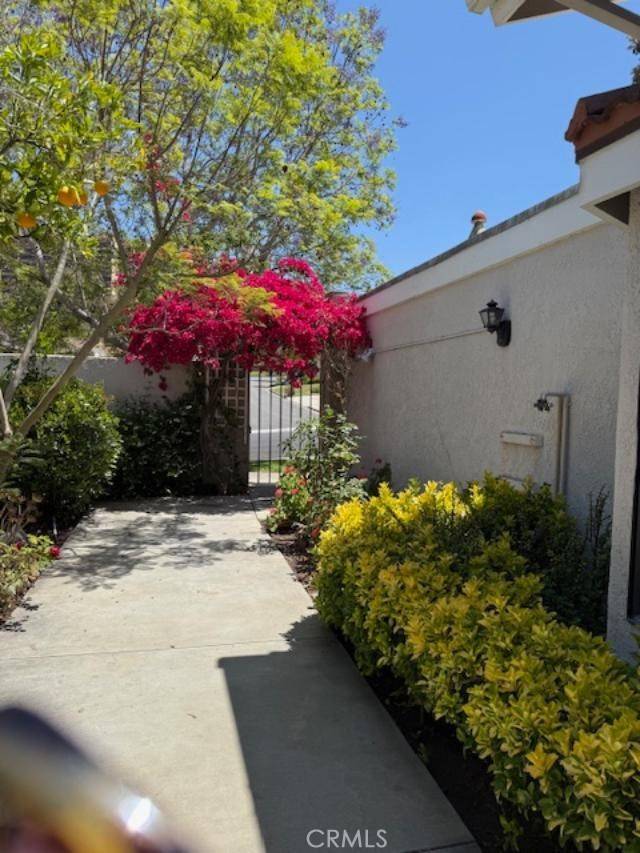 Laguna Woods, CA 92637,5105 Despacio