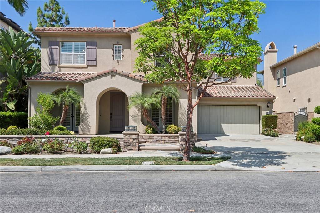 Irvine, CA 92620,27 Antique Rose