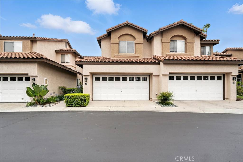 Aliso Viejo, CA 92656,5 Pappagallo