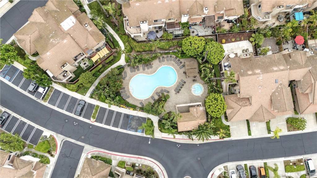 Aliso Viejo, CA 92656,5 Pappagallo