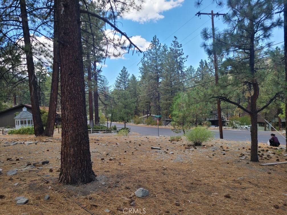 0 Lodgepole DR, Wrightwood, CA 92397
