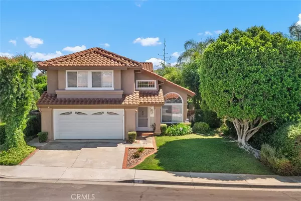 Rancho Santa Margarita, CA 92688,8 Danta