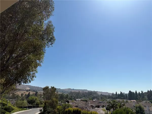 Irvine, CA 92603,16 Morning Glory