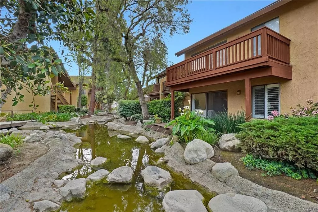 Irvine, CA 92618,44 Tangelo #298