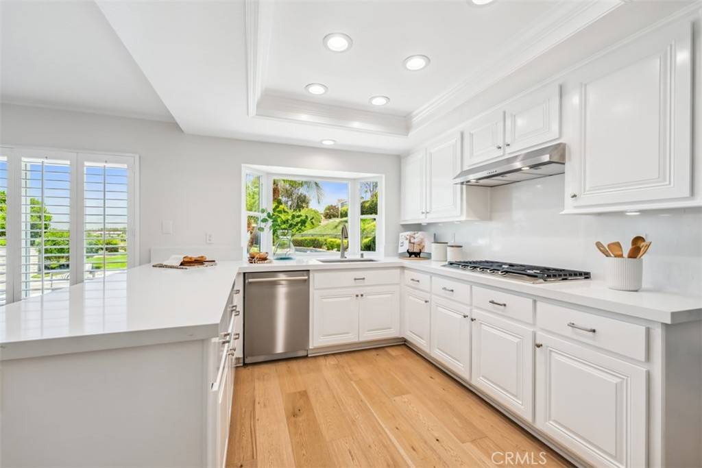Laguna Niguel, CA 92677,9 Phillips Circle