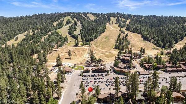 Big Bear Lake, CA 92315,41865 Switzerland DR #8