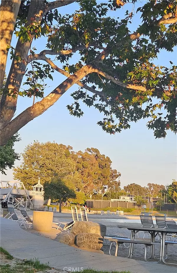 Irvine, CA 92604,8 Robin