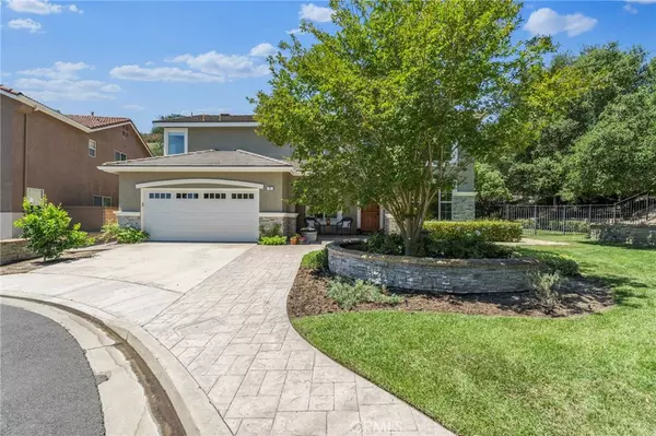Trabuco Canyon, CA 92679,2 Swallows LN