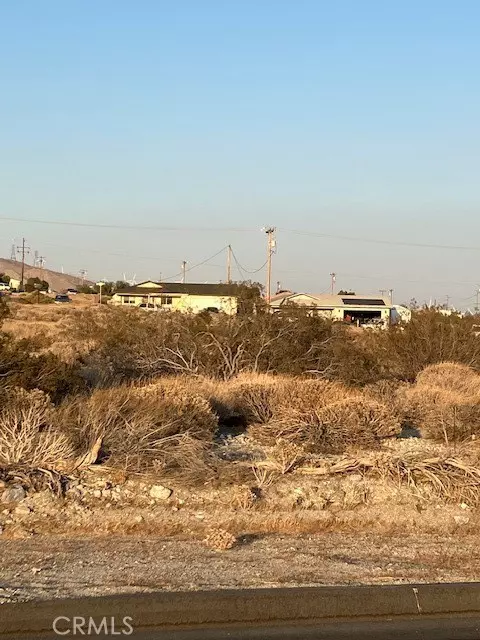 Whitewater, CA 92282,13388 Fremontia