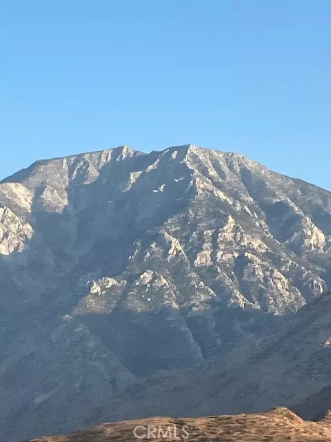 Whitewater, CA 92282,13388 Fremontia