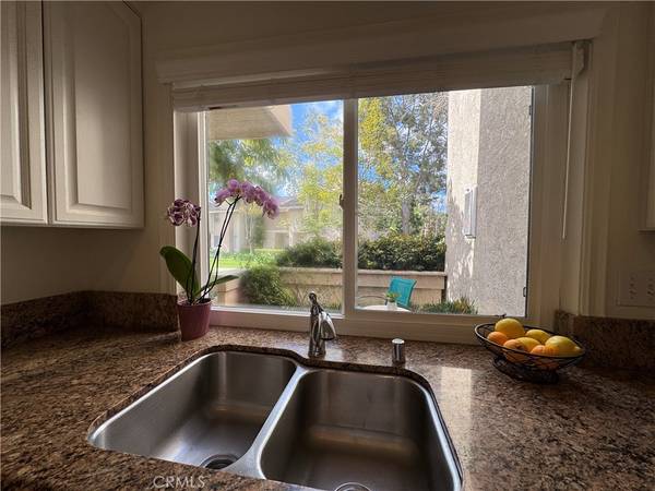Irvine, CA 92604,18 Snapdragon #11