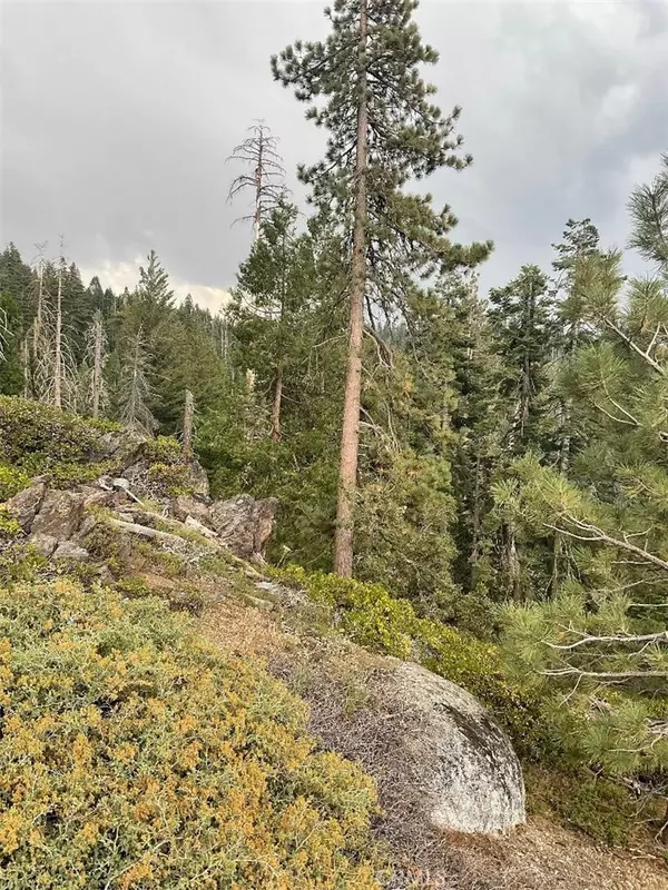 Arnold, CA 95223,778 Yuroc Dr