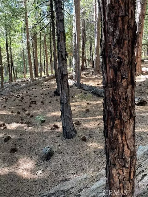 Arnold, CA 95223,778 Yuroc Dr