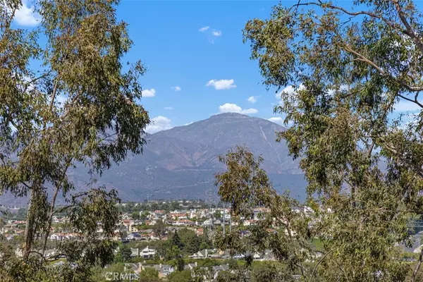 Mission Viejo, CA 92692,22402 Valdemosa