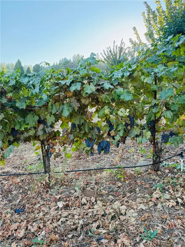 Camino, CA 95709,2781 Larsen