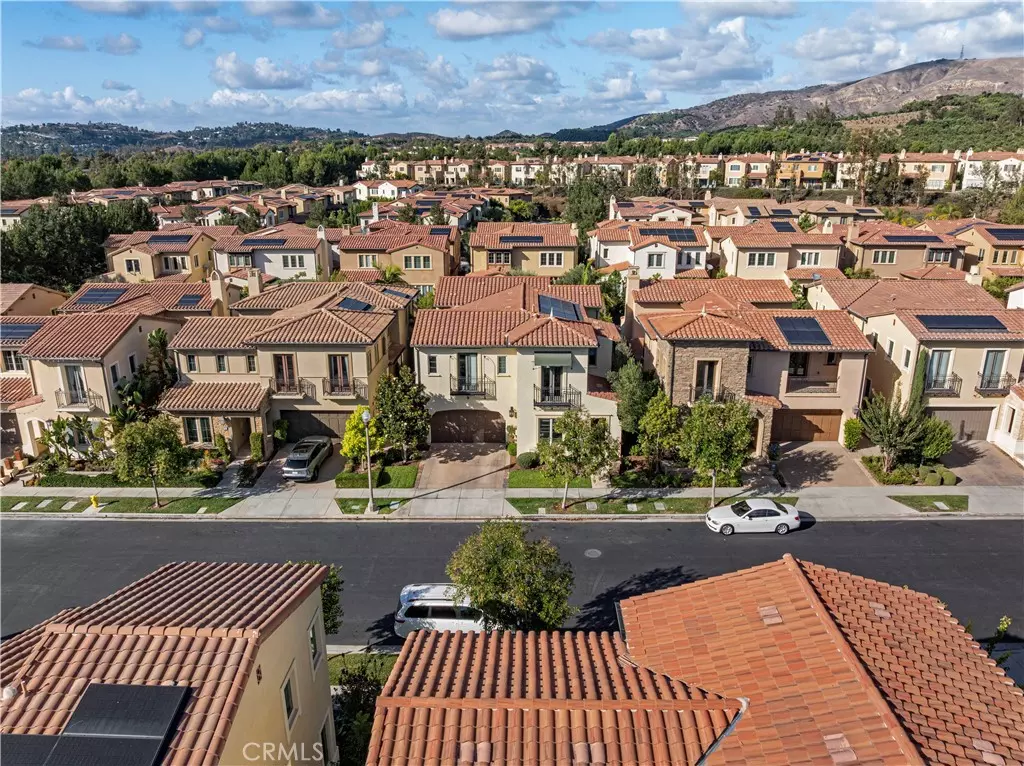 Irvine, CA 92602,9 Spanish Moss