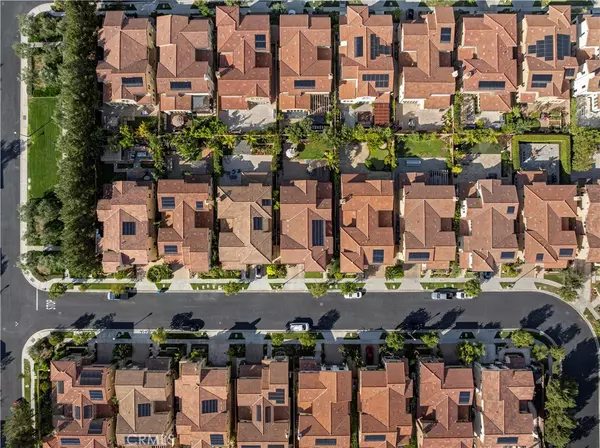 Irvine, CA 92602,9 Spanish Moss