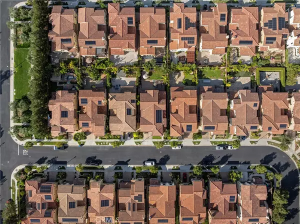 Irvine, CA 92602,9 Spanish Moss