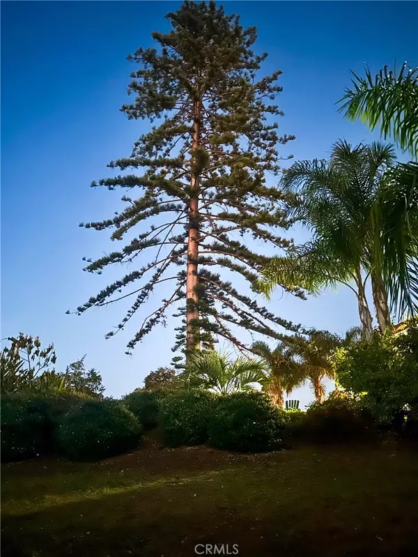 Vista, CA 92084,1955 Friendly