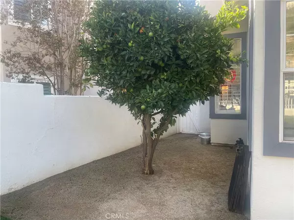 Lake Forest, CA 92679,19222 Red Bluff
