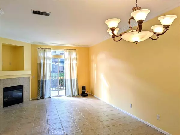 Aliso Viejo, CA 92656,51 Vellisimo