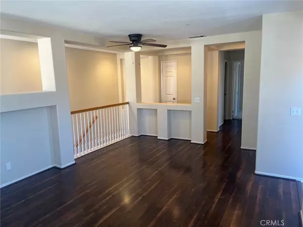 Aliso Viejo, CA 92656,34 Iron Bark