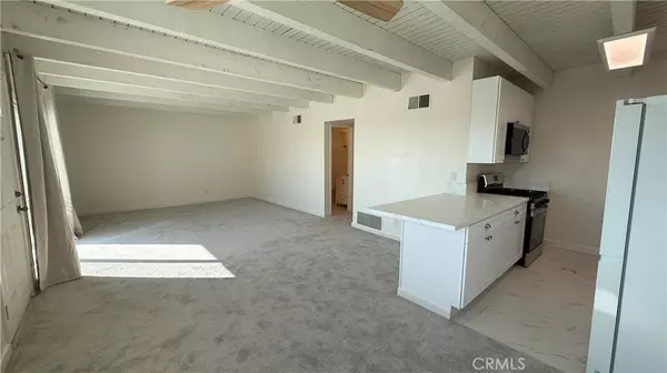 Dana Point, CA 92629,33852 Copper Lantern ST #F