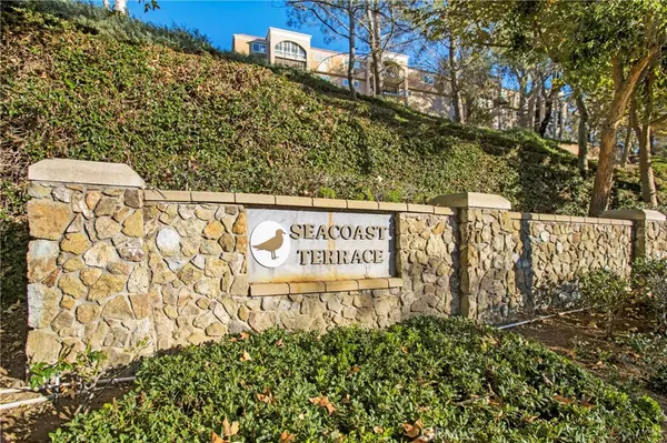 Aliso Viejo, CA 92656,27 Surfbird