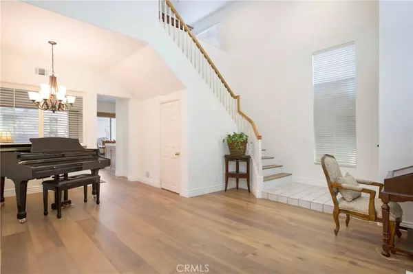 Aliso Viejo, CA 92656,27 Surfbird