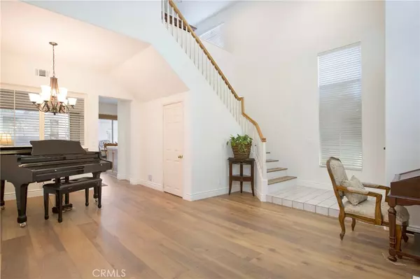 Aliso Viejo, CA 92656,27 Surfbird