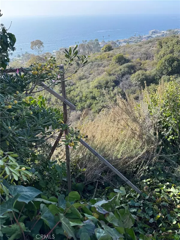 Laguna Beach, CA 92651,2333 San Clemente