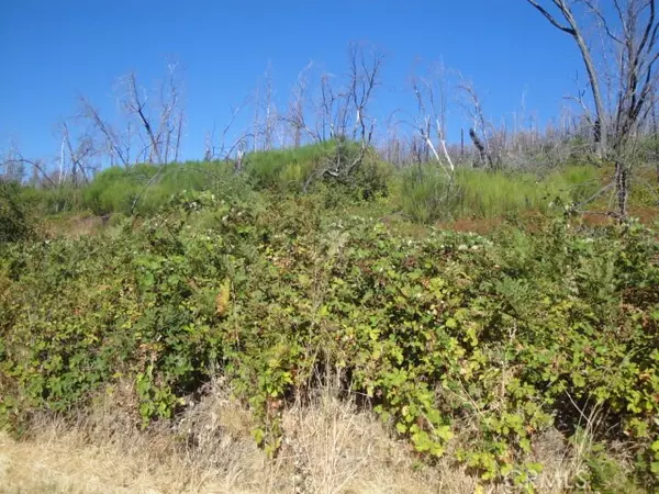 Berry Creek, CA 95916,0 Meadow LN